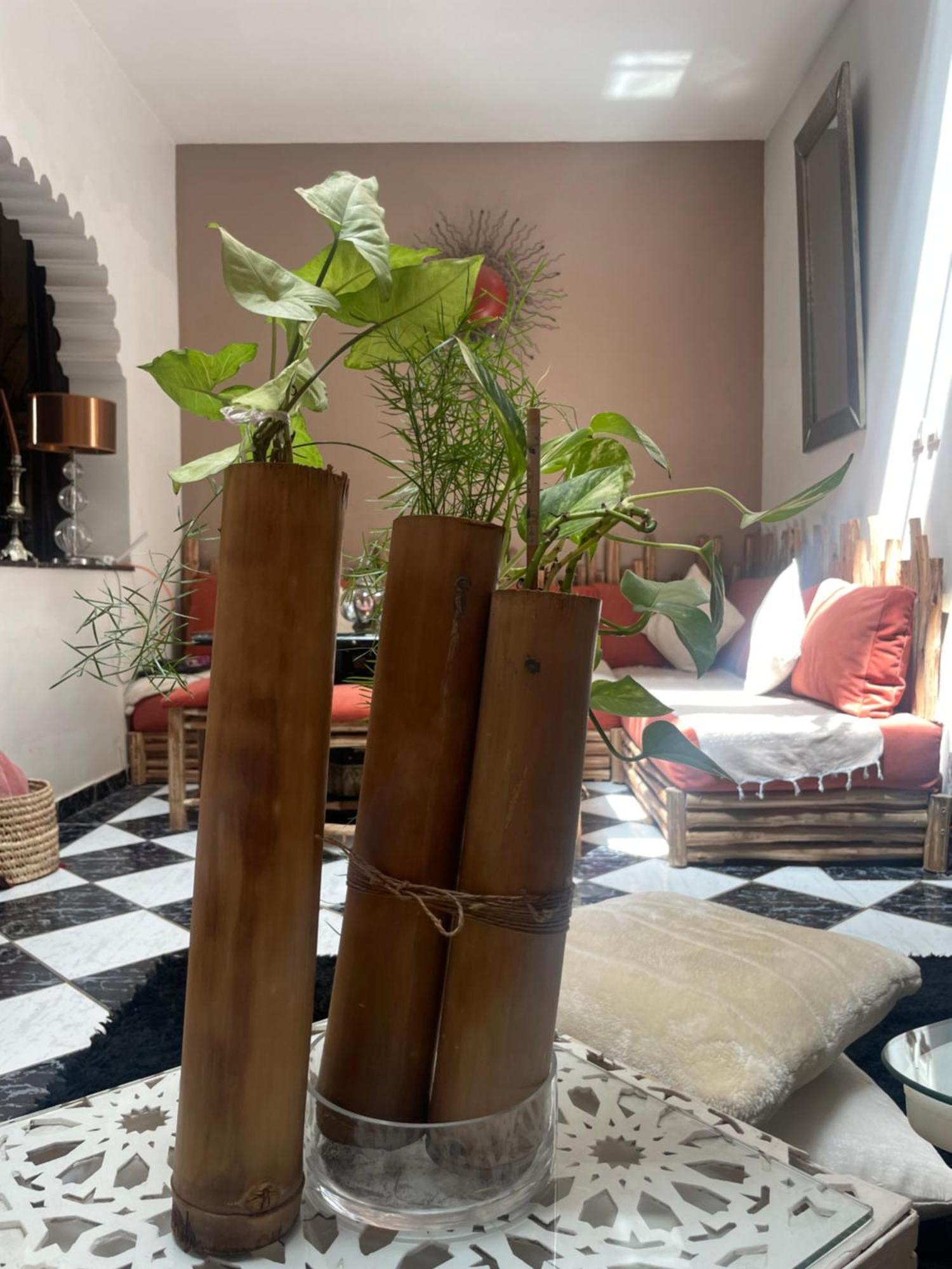 Riad Palmier Fleuri Marrakesh Exterior photo